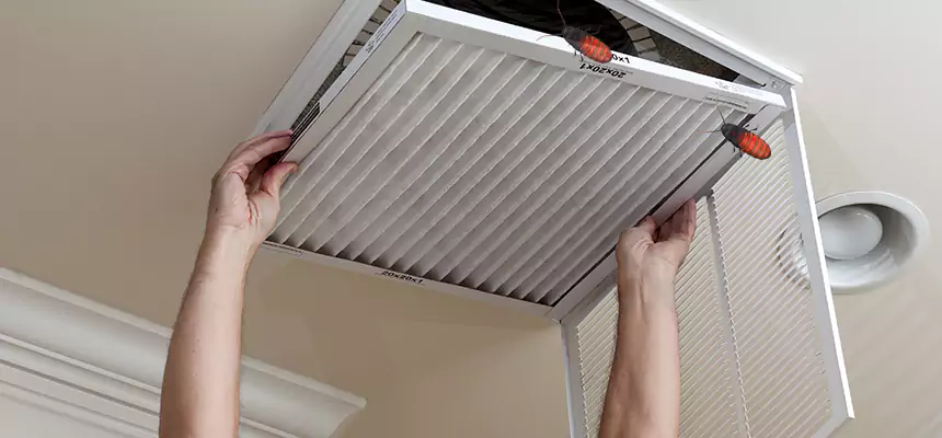 Preventive Cockroach-Proofing for Ducts in Arcata