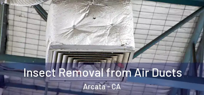  Insect Removal from Air Ducts Arcata - CA