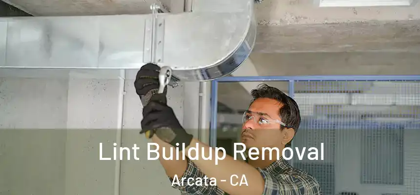  Lint Buildup Removal Arcata - CA