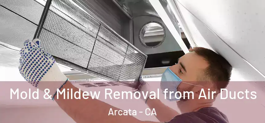  Mold & Mildew Removal from Air Ducts Arcata - CA