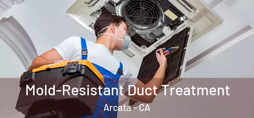  Mold-Resistant Duct Treatment Arcata - CA