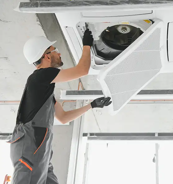 About Air Duct Rodent Removal in Arcata, CA