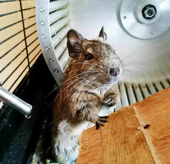 Why Homeowners & Businesses Trust Us Arcata, CA?