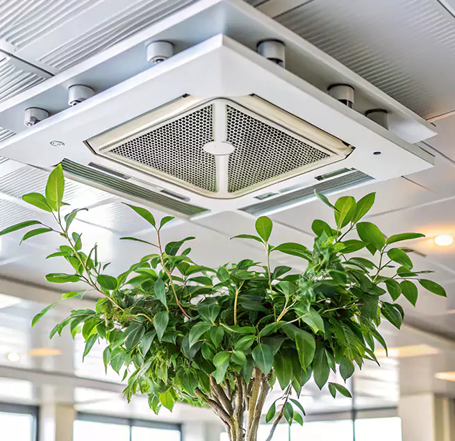 Why Homeowners & Businesses Trust Us in Arcata, CA