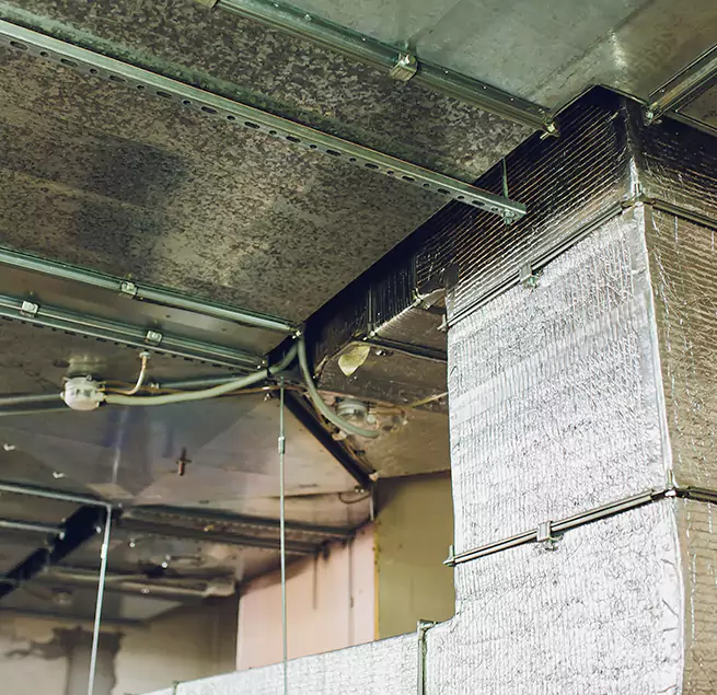 Why Homeowners & Businesses Trust Us in Arcata, CA?